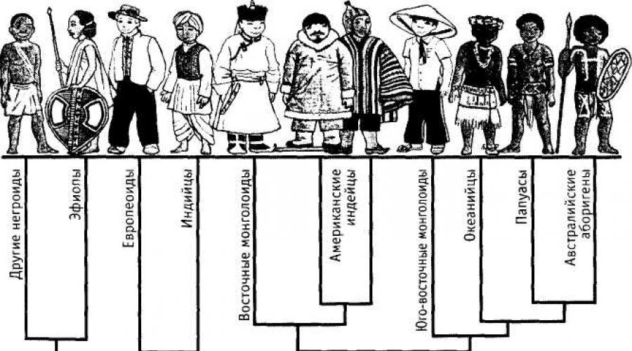 Расы на Земле (европеоидная, монголоидная, негроидная и австралоидная; смешанные). Реферат: Население Земного шара, распределение, плотность, человеческие расы
