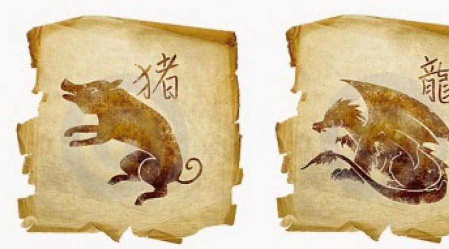 Совместимость Дракона и Свиньи (Кабана): как найти взаимопонимание двум противоположностям? Пара Дракона и Свиньи — совместимы или нет. 