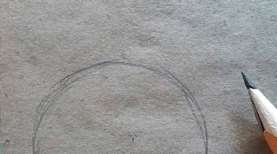 Come disegnare la matita di lumaca. Come disegnare la lumaca - Imparare a disegnare in diverse tecniche Disegno a lumaca graduale per bambini