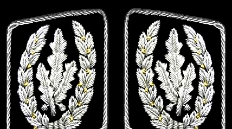Szeregi wojskowe waffen ss.  Forma Waffen SS: historia powstania i insygnia munduru wojskowego Wehrmachtu