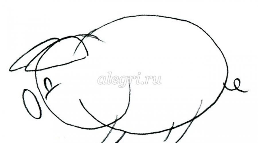 Как нарисовать поросенка карандашом. Как нарисовать свинью красиво, а главное, правдоподобно Как правильно нарисовать свинью поэтапно