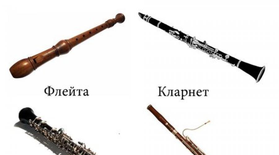 Какие бывают музыкальные инструменты? (фото, названия). Какие бывают музыкальные инструменты Виды музыкальных инструментов для детей