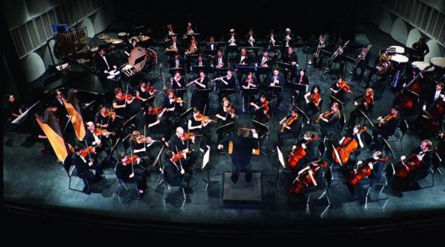 L'orchestra della camera può eseguire una sinfonia. Orchestra da camera