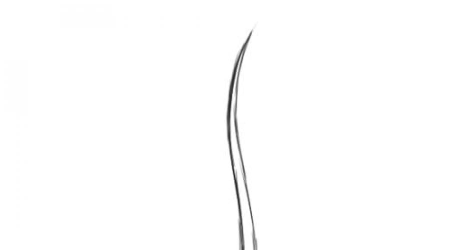 ارسم رسم البلاستيسين من البتولا. خريف البتولا الغواش تدريجيا