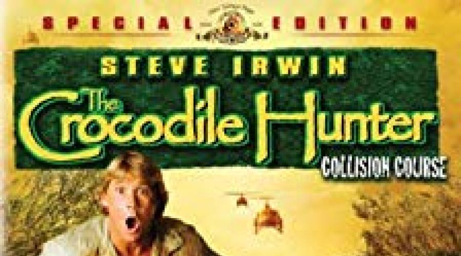 Umro je Hunter za krokodile Steve Irwin. Općenito, australski zakoni ne mogu biti ispunjeni, glavna stvar za prijavu ovog malog fonta Steve Irvin bi bio pijan