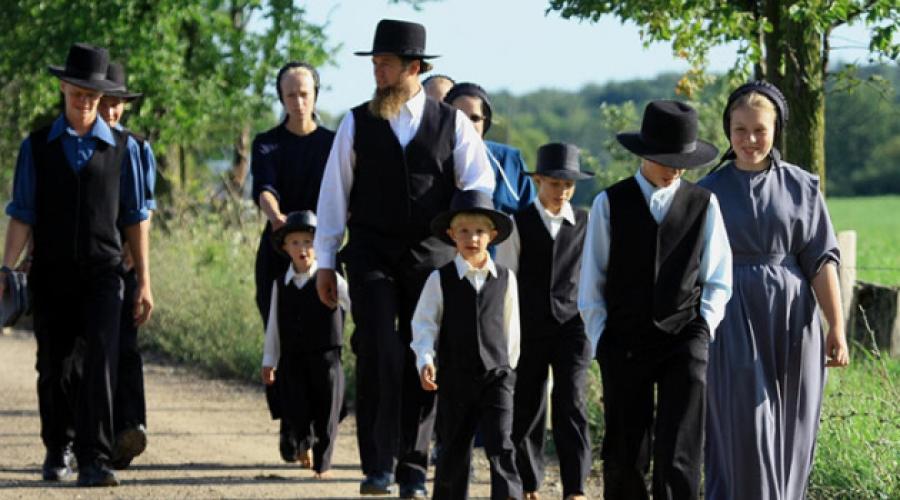 Chi sono gli Amish?  Portatori di una nuova razza del passato?  Chi sono gli Amish (16 fatti).