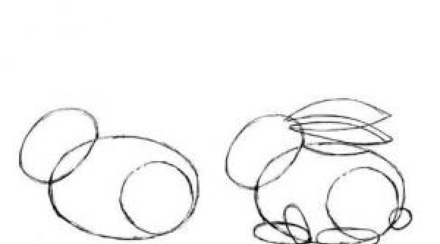 Сказочный заяц рисунок. Как нарисовать зайца карандашом поэтапно