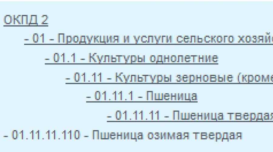 आर्थिक गतिविधि के प्रकार से रूसी वर्गीकृत उत्पादों। OKPD के लिए उत्पाद कोड कैसे खोजें
