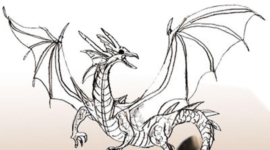 Как нарисовать поэтапно простым карандашом дракона. Рисуем дракона поэтапно