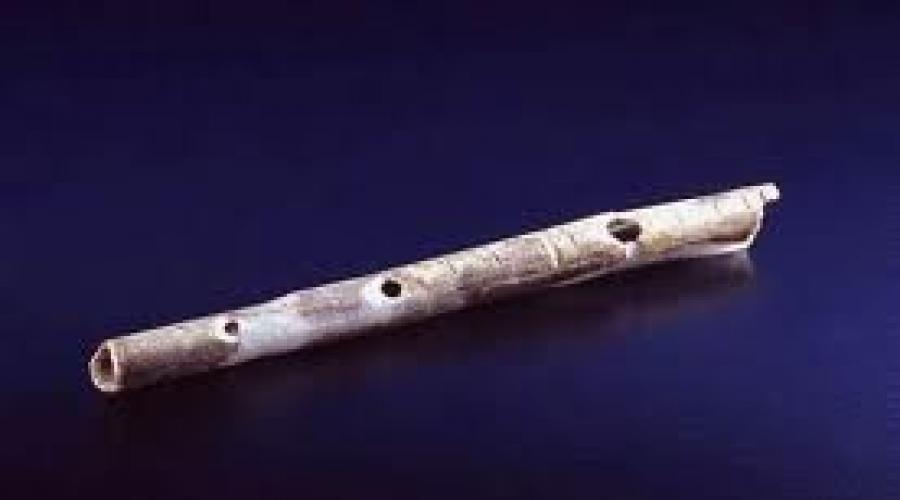 Какие были самые первые музыкальные инструменты. История музыкальных инструментов