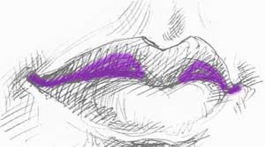 Kadınların dudaklarını nasıl çizilir. Dudaklar nasıl çizilir, dudakları çizmeyi öğrenin