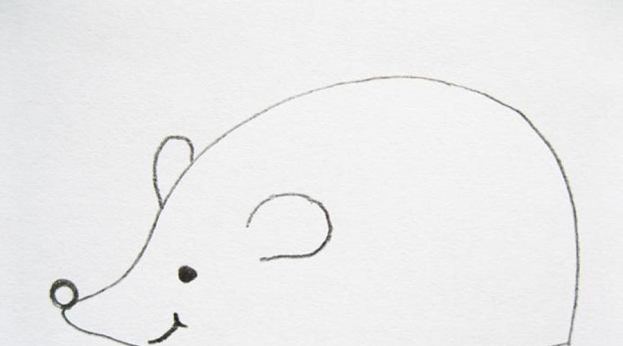 Как нарисовать ежика поэтапно карандашом для детей и начинающих: инструкция. Как нарисовать Ежика из Смешариков, из мультфильма «Ежик в тумане», стоящего, с грибами, семью ежей карандашом поэтапно? Как нарисовать ежика для аппликации: шаблон