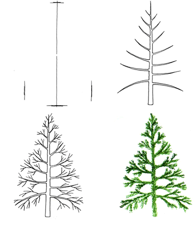 شجرة التنوب الرسم بالقلم الرصاص للأطفال كيفية رسم شجرة عيد الميلاد
