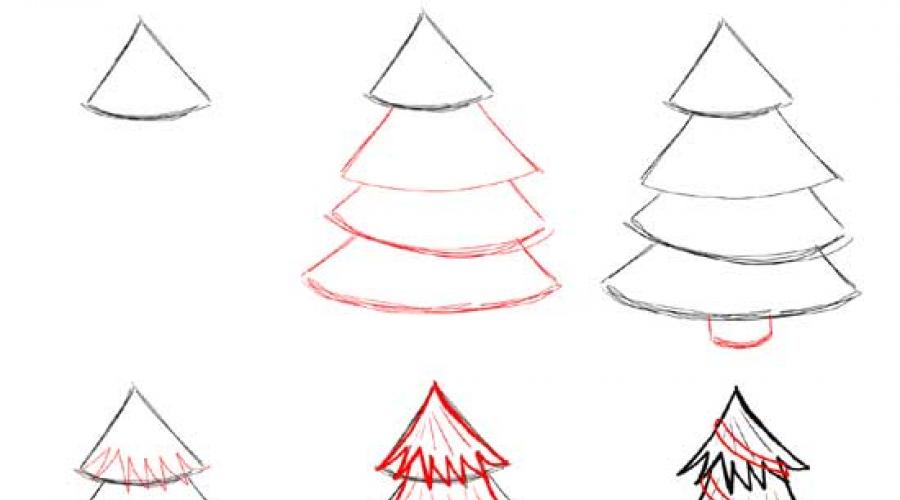 كيفية رسم شجرة عيد الميلاد الجميلة.  كيفية رسم شجرة التنوب: فئة رئيسية