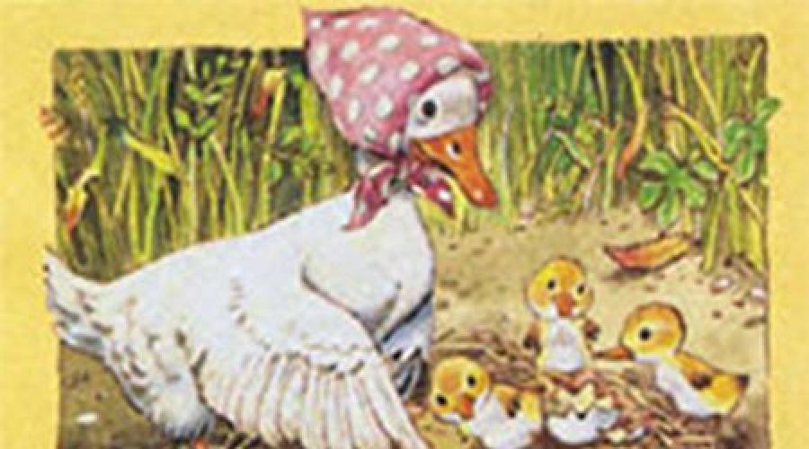 Zadkom ördek yavrusu hakkında peri masalları. Kötü bir ördek hikayesi - Hans Christian Andersen