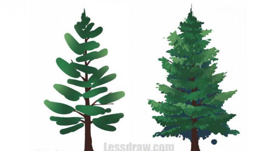 Техника рисования деревьев в детском саду. Методика рисования деревьев и человека в старшей и подготовительной