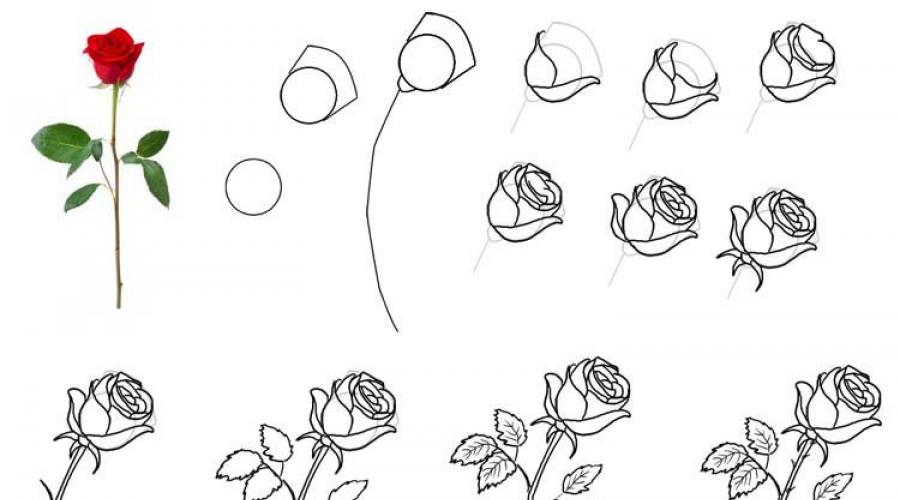 Картины карандашом для срисовывания цветы. Как нарисовать клумбу с цветами карандашом поэтапно для начинающих и детей? Как нарисовать клумбу с цветами поэтапно красками? Инструменты и материалы