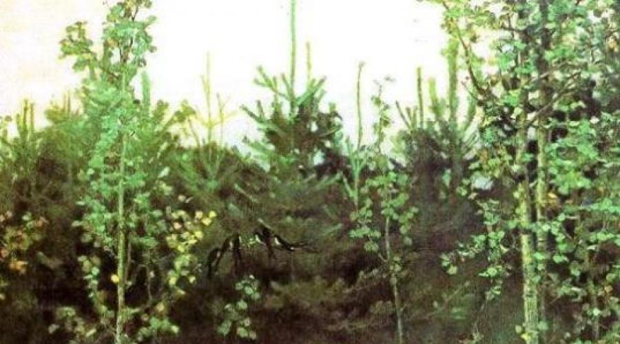 Описание картины васнецова аленушка цветовая гамма. Почему «Аленушка» Васнецова первоначально называлась «дурочкой», или Сказочное и реальное в знаменитой картине