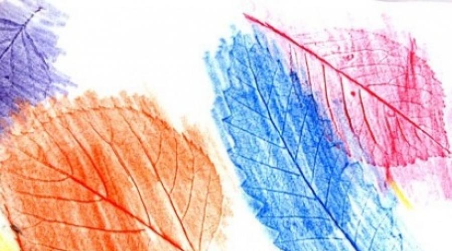 Rysowanie wzorców liści, gałęzi i drzew (brzoza, świerk, dąb, mężczyzna). Jak narysować liść klonowy ołówkiem? Schemat instrukcji krok po kroku, jak rysować liście