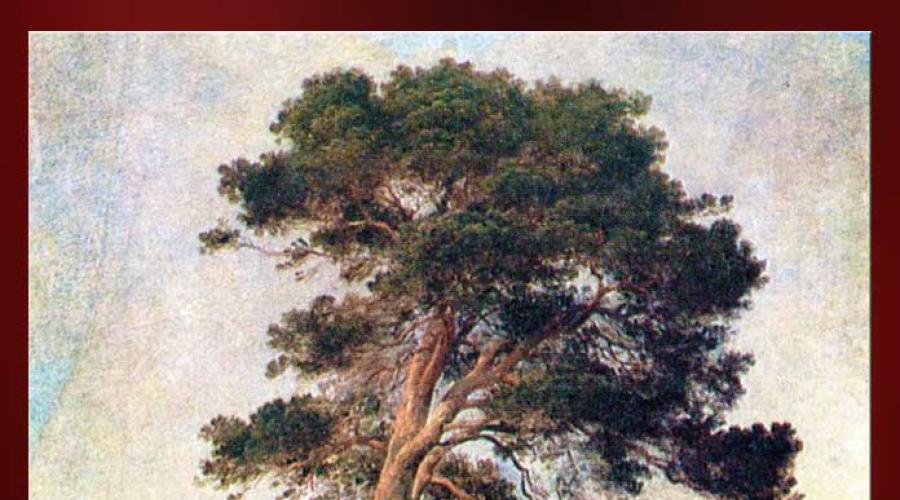 Capolavori di Ivan Shishkin: I dipinti più famosi del grande paesaggista russo.  Shishkin - biografia, dipinti Quali dipinti ha dipinto Shishkin