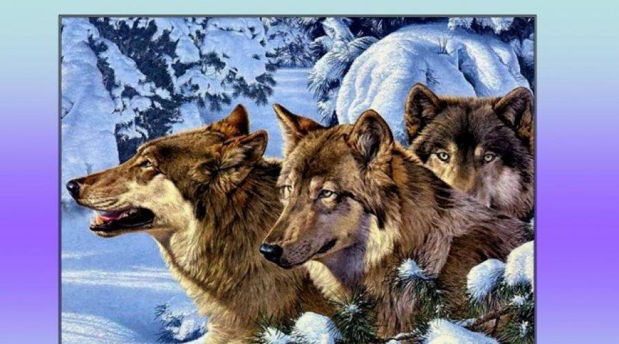 Wśród wilków żyć jak wycie wilka.  Żyć z wilkami - wyć jak wilk