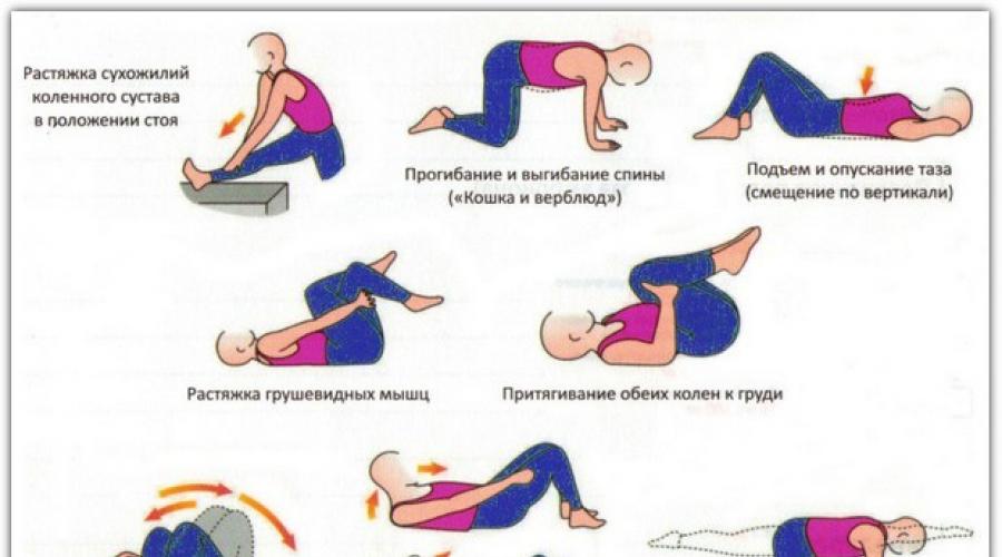 Stuburo raumenų stiprinimas. Kaip sustabdyti neigiamus procesus ir stiprinti stuburą namuose: gimnastikos pratimai, taisyklės ir funkcijos
