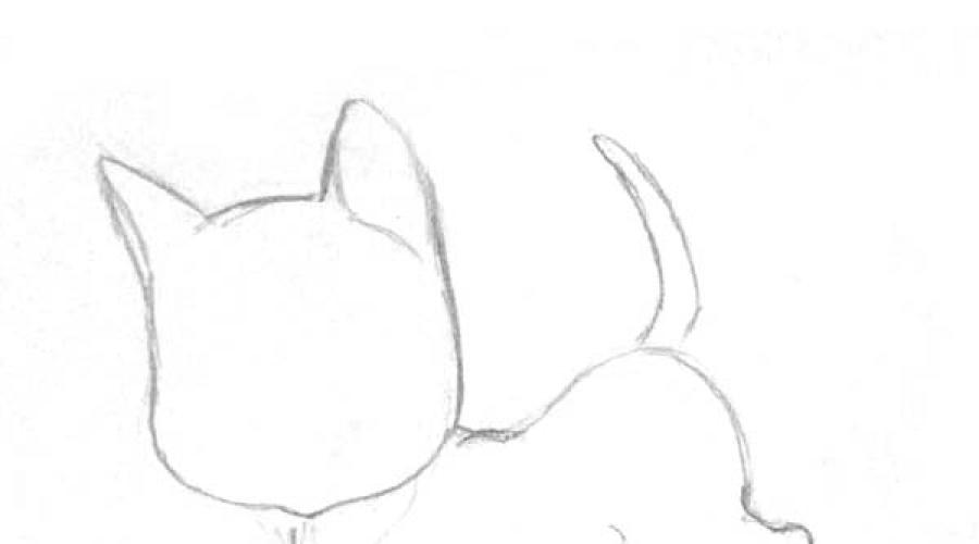 Как нарисовать семью котов карандашом. Как нарисовать кошку карандашом