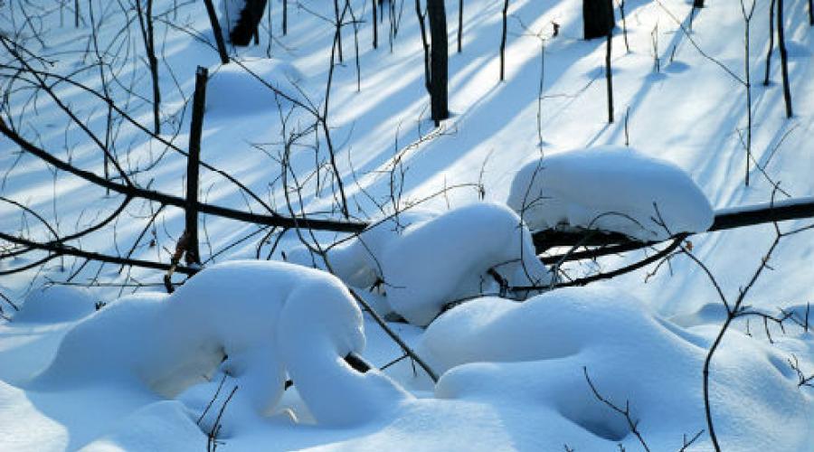 Зима во сне летом. Снежные сугробы. Снег лежит. Причудливые сугробы. Снежные звери.