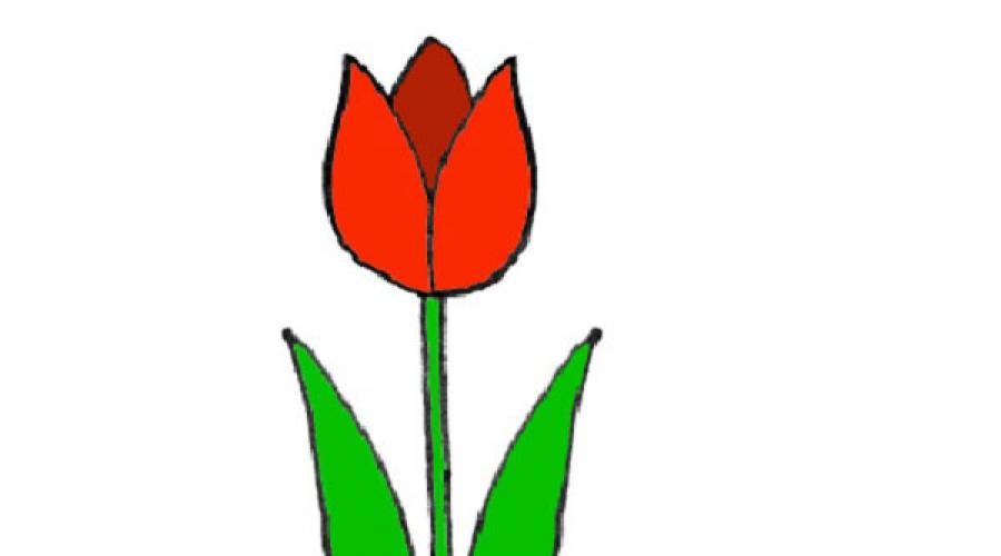 Narysuj kwiaty 8 marca. Materiały do \u200b\u200brysowania