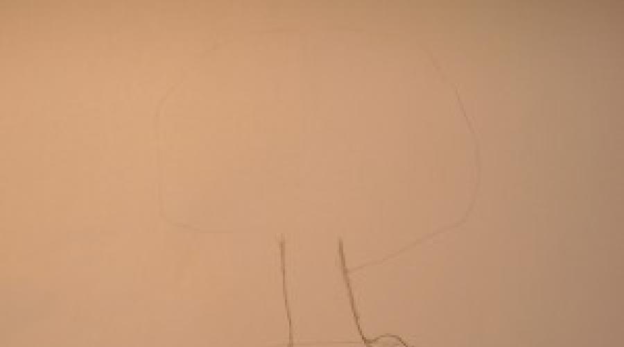 Disegnare Un Albero In Un Cerchio Con Una Matita Come Disegnare Diversi Tipi Di Alberi Segniamo Il Tronco Dell Albero