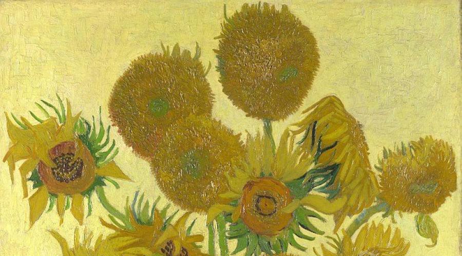 Cosa ha disegnato Van Gogh. Vincent van Goghography.