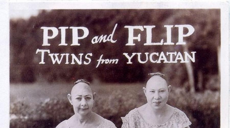 Pip and Flip: duetto di sorelle con