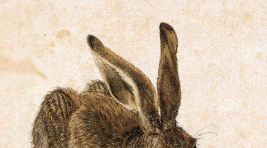 Enciclopedia scolastica. Breve biografia di Albrecht Dürer, soprattutto