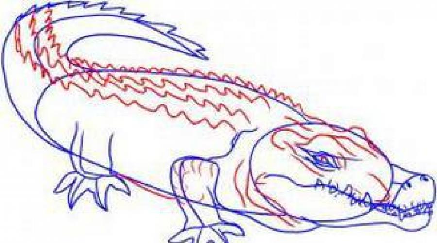 Рисуем в клеточку карандашом сложные крокодила. Как нарисовать крокодила карандашом