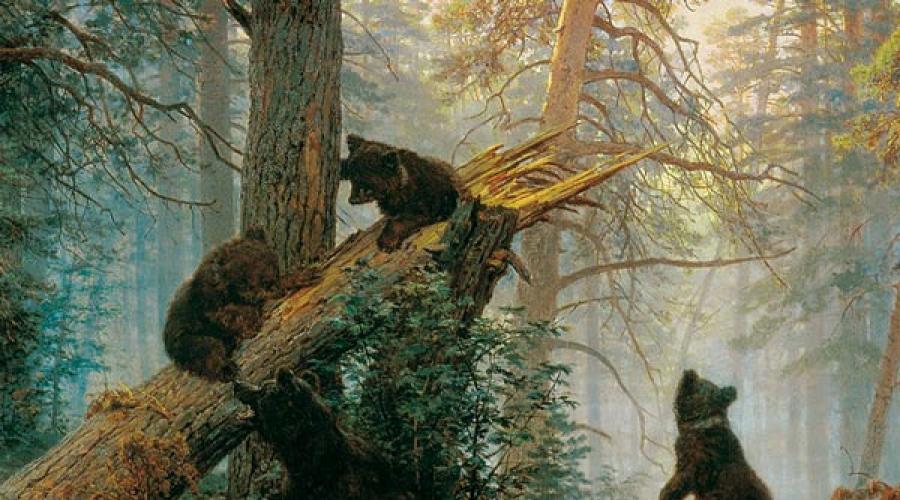 एक पाइन वन के साथ भालू के एक चूल्हे की पेंटिंग का विवरण। एक पाइन वन विवरण में सुबह