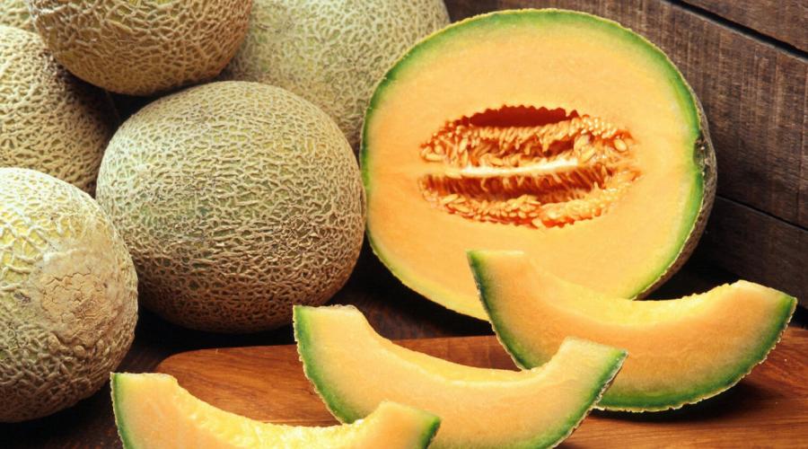 Melon: historia i fakty.  Interesujące fakty na temat melona Kto nie powinien jeść melona