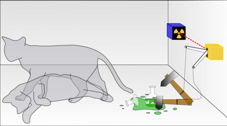 Schrödinger's law with simple words. Schrödinger's cat simple words