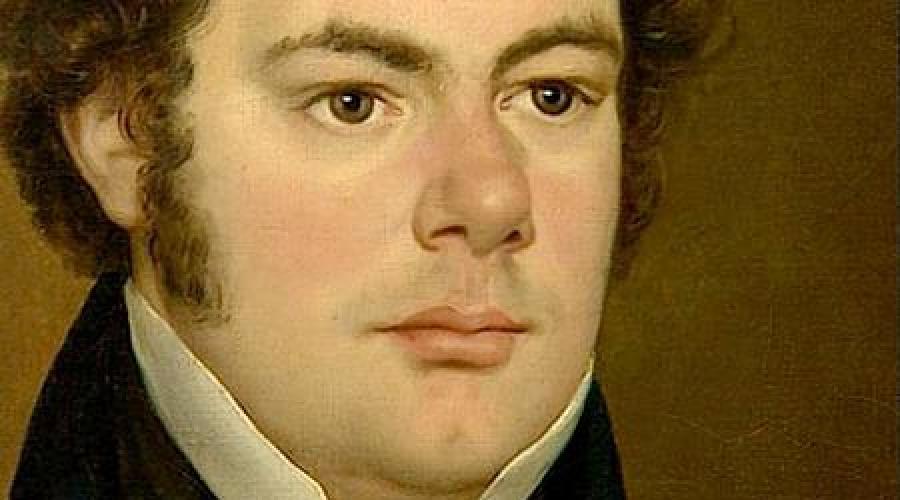 Povijest za djela Schuberta. Povijest života
