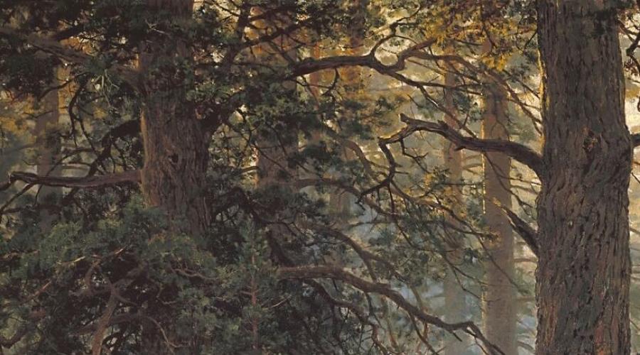 Tko je naslikao sliku jutra u borovoj šumi.  Jutro u borovoj šumi