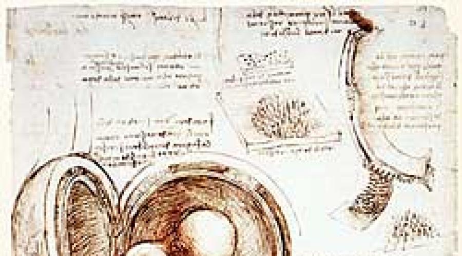 Leonardo da Vinchi - tarjimai hol, qiziq faktlar. Leonardo da Vinchi haqida xabar