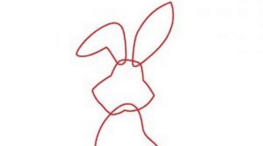 Disegno A Matita Di Un Coniglietto Come Disegnare Una Lepre