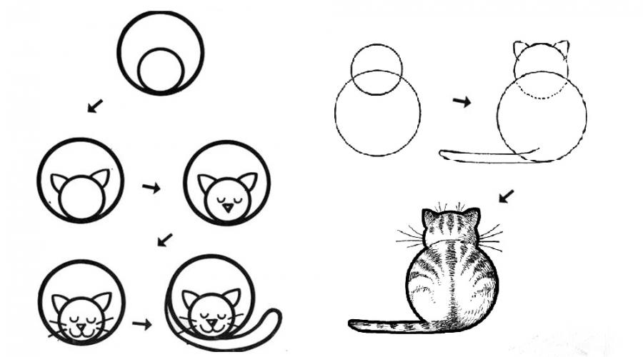 Как нарисовать котят карандашом поэтапно. Как нарисовать кошку карандашом поэтапно