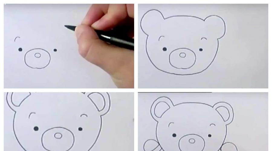 Aşamalı teddy kurşun kalem çizin. Adım adım talimatlar Teddy'nin ayısını nasıl çizilir
