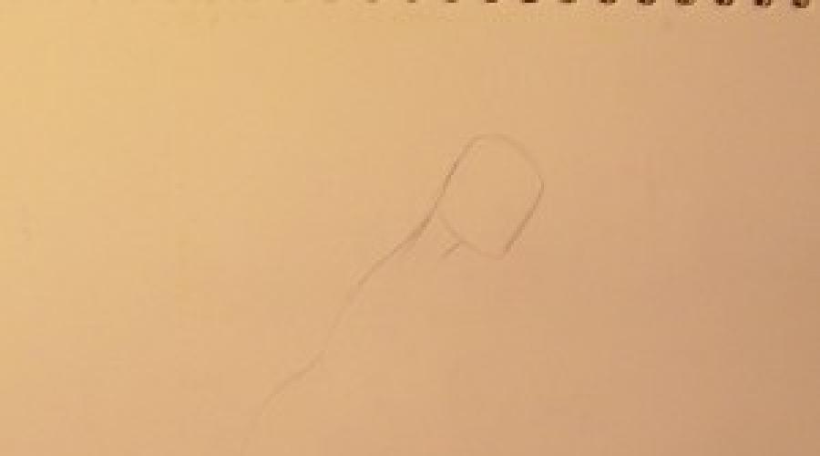 Angel crtež s olovkom jednostavno up. Kako nacrtati palih anđeoskih stupnjeva olovke