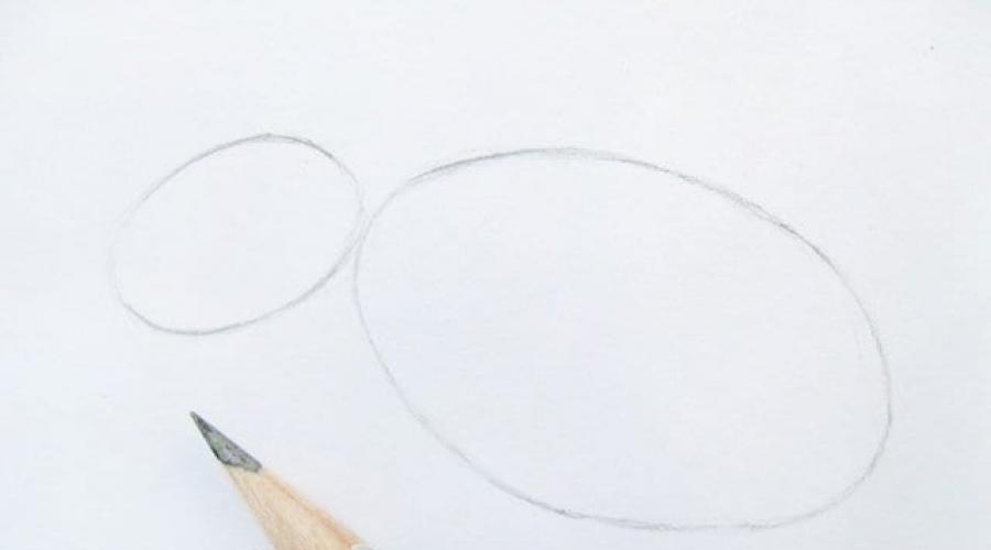 Заяц спиной рисунок. Как нарисовать зайца карандашом? Процесс создания изображения дикого животного