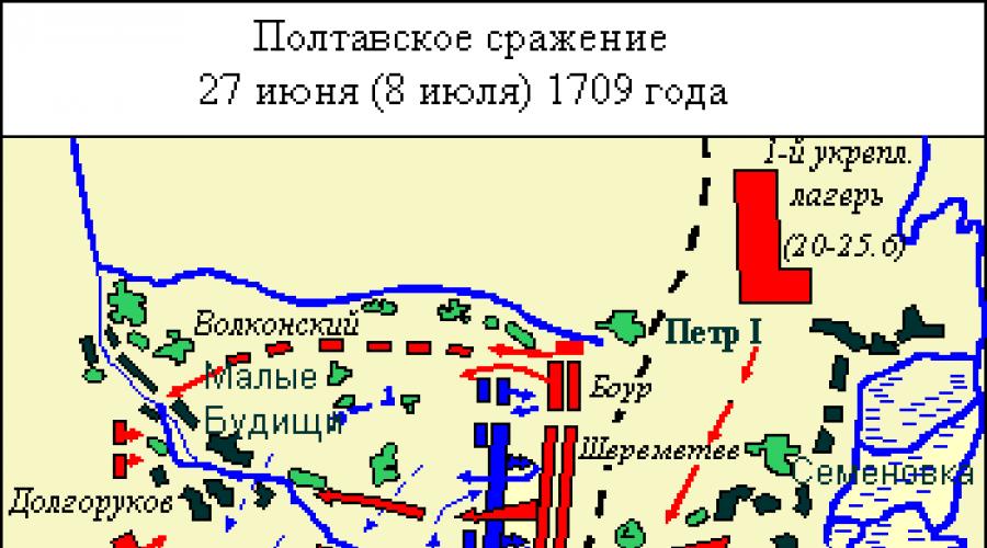 Soldiers of the Battle of Poltava.  Battle of Poltava