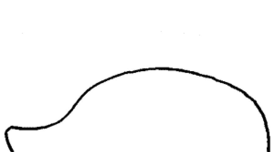 Ушастый еж рисунок карандашом. Как нарисовать ежика цветными карандашами поэтапно