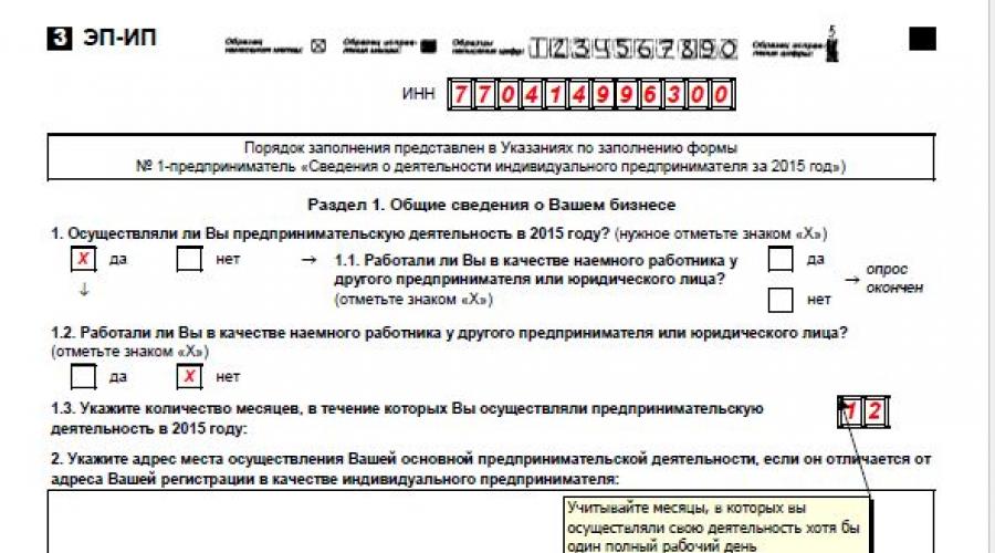 Отчет 1 ип в статистику образец заполнения