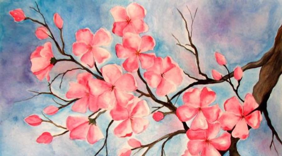 Come Disegnare Un Sakura In Fiore Come Disegnare Il Sakura Con Le Matite Colorate Passo Dopo Passo