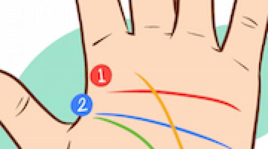 Cosa significa la doppia linea della vita sui palmi delle mani?  Linea della vita: significati e caratteristiche.